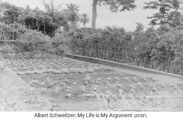 Spitaldorf Lambarene,
                    Gartenbau f�r Selbstversorgung