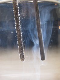 L’ioniseur �
                  tige d’argent; les ions d’argent se d�tachent de la
                  tige d’argent