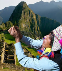 Heiler in Peru
                        betet Bl�ttchen an (im Hintergrund Machu
                        Picchu)