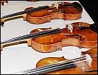 Rohnemeier-Pilzgeige und Stradivari
