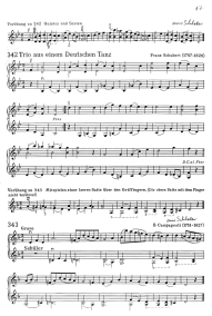 Page 17: Franz Schubert: Trio aus einem
                            Deutschen Tanz mit Doppelgriffen, mit einer
                            Vorübung von Schloder, sowie ein Grave von
                            B. Campagnoli, ebenfalls mit einer Vorübung
                            von Schloder