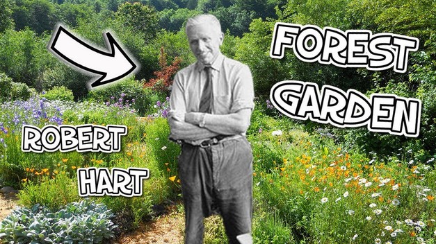 Robert
                        Hart im Waldgarten
