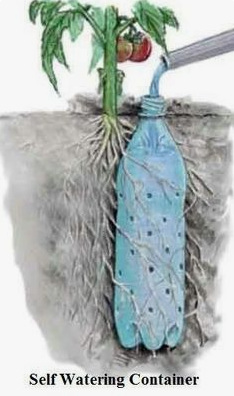 Pet-Flasche mit L�chern
                  im Boden neben einem Baum oder neben Tomaten zur
                  Bew�sserung der Wurzeln in Trockengebieten, Schema