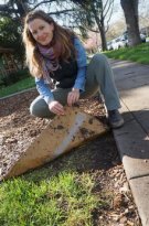 El cart�n quita el c�sped para crear un
                bancal de jard�n 02