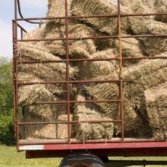 Fardos de paja para el mantillo de paja