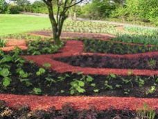 Caminos con mantillo de corteza de pino rojo
