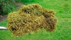 Recortes de hierbas verdes,
                recorte del c�sped, mantillo del c�sped