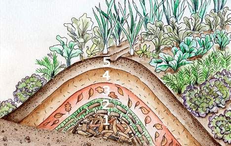 Estratificaci�n del
                          bancal de colina de permacultura 03