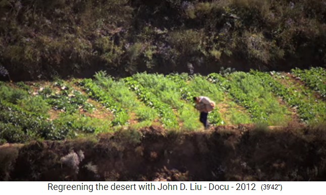 China Lössplateau, auf grossen Terrassen wird
                  quer in Kleinfelderwirtschaft Gemüse angebaut