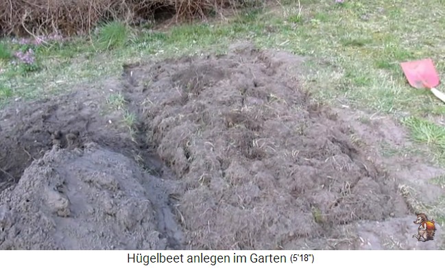 Bau eines Hügelbeets
                    bei Biogartenreich 11: Die Schicht mit den
                    umgedrehten Grasbüscheln (Grassoden) ist komplett