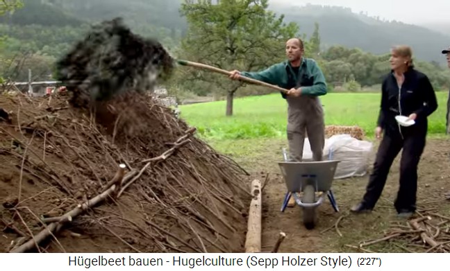 Taller de bancal de colina con Sepp Holzer en
                    Austria 15: Ahora viene una capa de mantillo encima