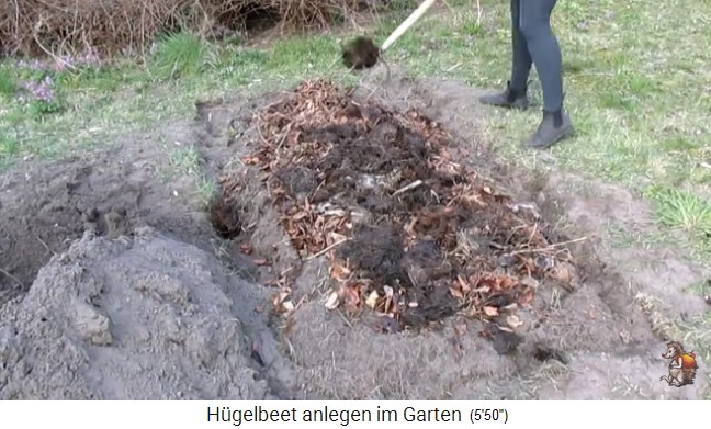 Construcci�n
                    de un bancal de colina con Imperio de jard�n
                    biol�gico (Biogartenreich) 14: Luego sigue una capa
                    de esti�rcol