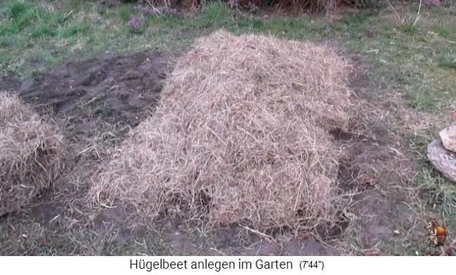 Construcci�n de un bancal de colina con Imperio
                    de jard�n biol�gico (Biogartenreich) 24: Se pone
                    mantillo de paja en todo el bancal de colina 1