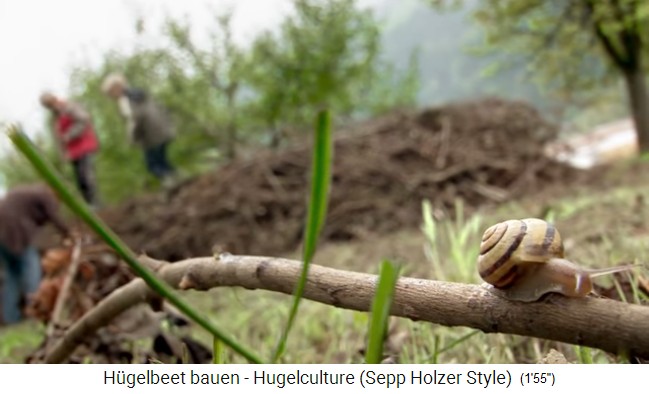 Taller de bancal de colina con Sepp Holzer en
                    Austria 10: los ni�os saltan en el bancal de colina
                    para pisar bien de modo que no se queden cavidades