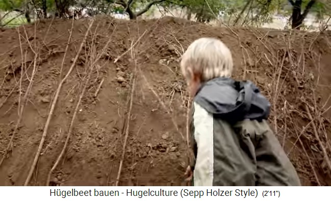 Taller de bancal de colina con Sepp Holzer en
                    Austria 14: el bancal de colina se fija con una red
                    de ramas 01: ramas rectas colocadas verticalmente