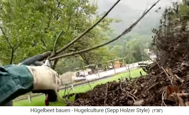 Taller de bancal de colina con
                    Sepp Holzer en Austria 08: Se cortan algunos clavos
                    de madera de las ramas 01