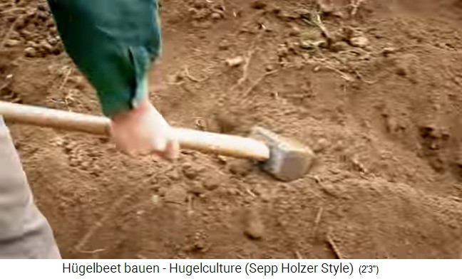 Taller de bancal de
                    colina con Sepp Holzer en Austria 13: la capa de
                    tierra se presiona con un martillo gigante para
                    "rellenar" todos los agujeros entre las
                    ramas