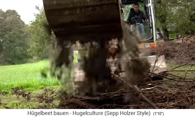 Taller de
                    bancal de colina con Sepp Holzer en Austria 06, el
                    humus del c�sped se coloca sobre el material de
                    madera (segunda capa)