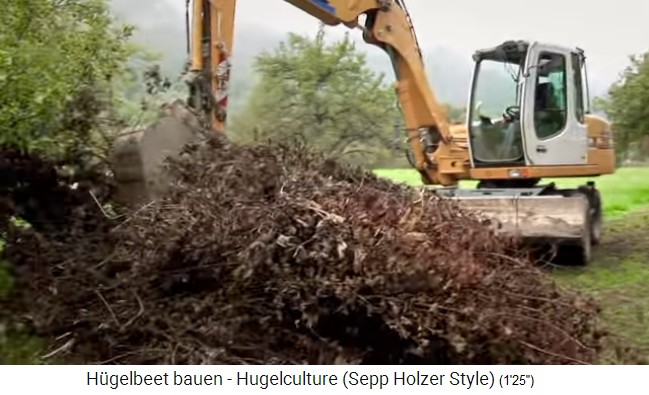 Taller de
                    bancal de colina con Sepp Holzer en Austria 07: Se
                    pone material de madera con follaje seca en el humus
                    (tercera capa)