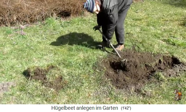 Construcci�n de
                    un bancal de colina con Imperio de jard�n biol�gico
                    (Biogartenreich) 01: Se retira la cubierta del
                    prado