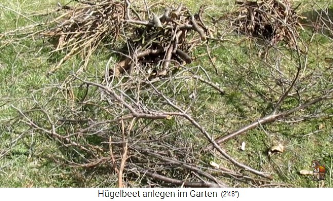 Construcci�n de un
                    bancal de colina con Imperio de jard�n biol�gico
                    (Biogartenreich) 04: Ahora se recolecta la madera
                    muerta de las ramas secas del a�o anterior