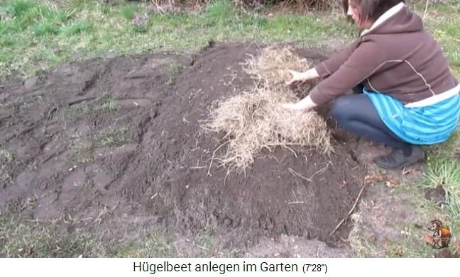 Construcci�n de un bancal de colina con Imperio
                    de jard�n biol�gico (Biogartenreich) 23: Se pone
                    mantillo de paja en todo el bancal de colina 1