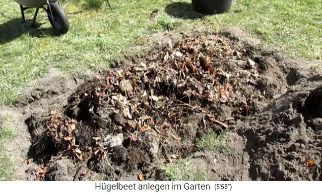 Construcci�n de un bancal de colina con Imperio
                    de jard�n biol�gico (Biogartenreich) 15: Y luego
                    sigue otra capa de hojas de follaje