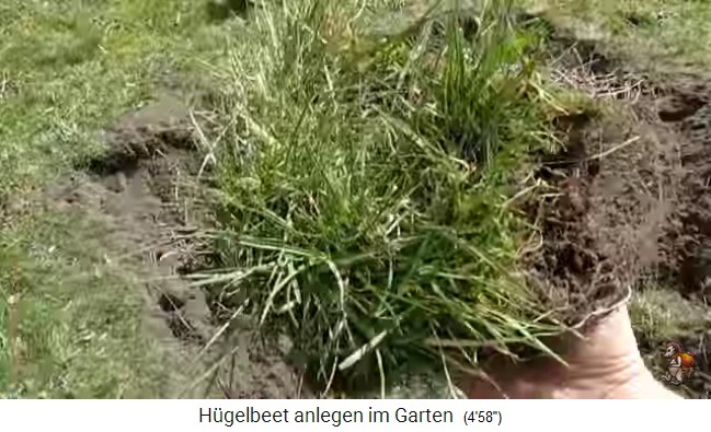 Construcci�n de un
                    bancal de colina con Imperio de jard�n biol�gico
                    (Biogartenreich) 08: Ahora se pone los tepes /
                    champas (trozos del prado) con la hierba por abajo