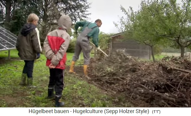 Taller de bancal de colina con Sepp Holzer en
                    Austria 04, el material de madera se coloca encima
                    (primera capa) (debe haber secado durante 1 a�o)