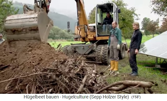 Taller de bancal de
                    colina con Sepp Holzer en Austria 11: la excavadora
                    sacude la corona de la cama as� que la tierra caiga
                    a trav�s de las ramas y no quede ning�n vac�o