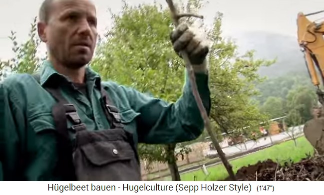 Taller de bancal de colina con
                    Sepp Holzer en Austria 09: Se cortan algunos clavos
                    de madera de las ramas 02