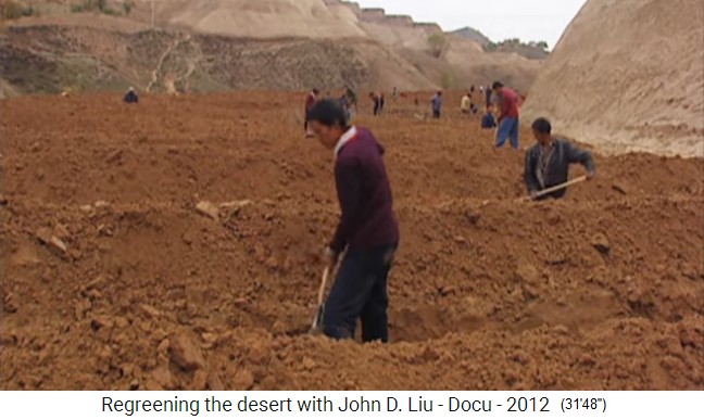 Tales diques transversales
                    han construido en China en la meseta de loess en
                    grandes terrazas en 1995, primer plano