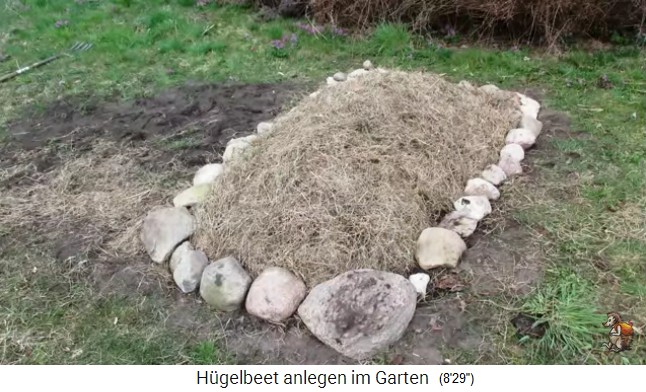 Construcci�n de un
                    bancal de colina con Imperio de jard�n biol�gico
                    (Biogartenreich) 26: con un margen de piedras 2