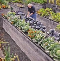 Bancales elevadas largas hasta
                          la cintura