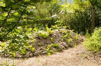 Bancal de
                            colina 01