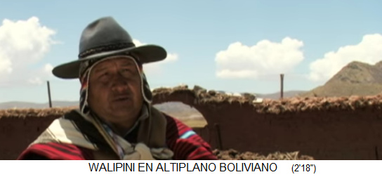 Landwirtschaft in Bolivien auf 4000m
                          Höhe, hier sollen viele versenkte Treibhäuser
                          (Walipinis) für eine bessere
                          Lebensmittelsicherheit sorgen
