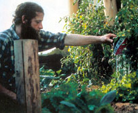 Oehler giesst sein
                          Gemüse vom Kaltluftgraben aus