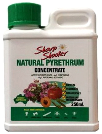 Pyrethrum, biologisches Pflanzenschutzmittel