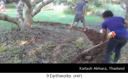 Kreis-Grabennetz für Bäume auf dem Gelände von
                    Kalaish Akhara in Nord-Thailand