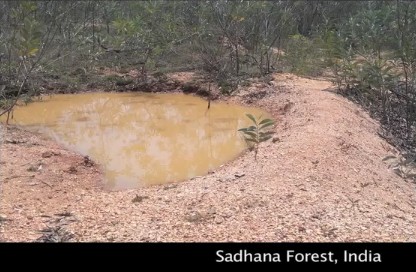 Dammsystem als Wegesystem für den Waldaufbau
              auf dem Permakulturgelände von Sadhana Forest bei
              Auroville in Indien