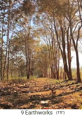 Centro de Kailash Akhara,
                    primero era un bosque degenerado
