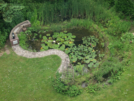 Teich mit Halbkreis-Filtergraben fertig 2005