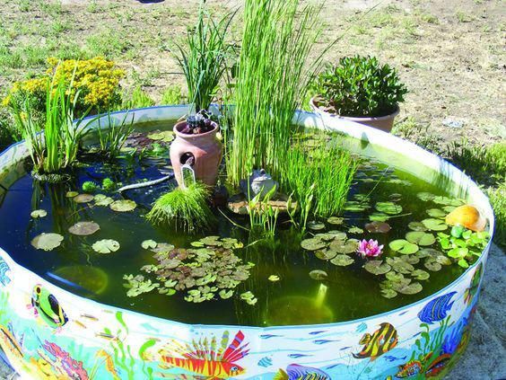 Zuberteich
                    kreisrund