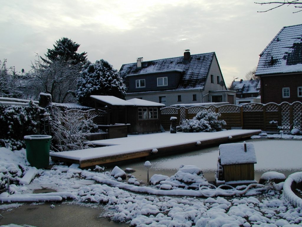 Zugefrorener Teich mit Steinen