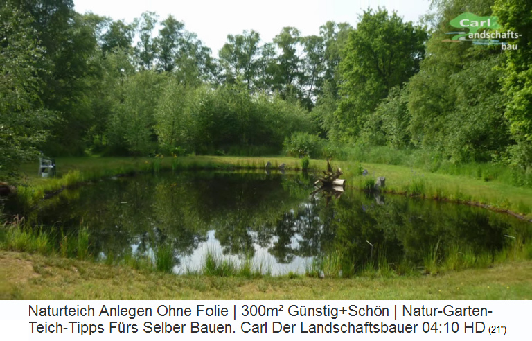 Teich mit 300m2 Oberfläche mit kaum
Schwankungen Teich mit 300m2 Oberfläche mit
kaum Schwankungen