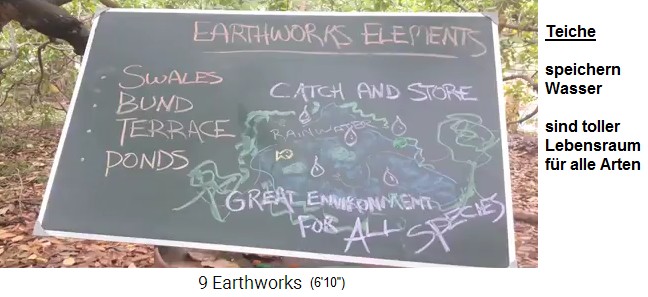 Ein
                  Teich, Schema an der Wandtafel