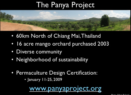 Panya-Projekt: Mango-Obstgarten,
                  Permakultur seit 2009