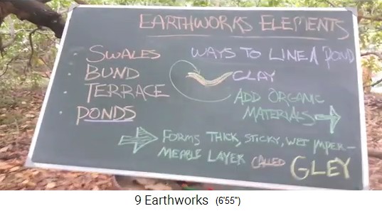 Teichboden aus Kuhdung+Gr�nzeug bildet Gley