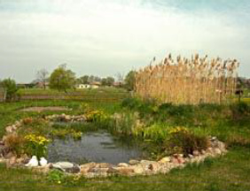 Pond with reed pond
              (biological wastewater treatment plant) above