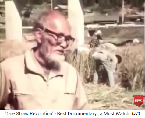 Fukuoka
                    1980ca. bei Reisernte